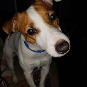 Meet your Posher, Joanna